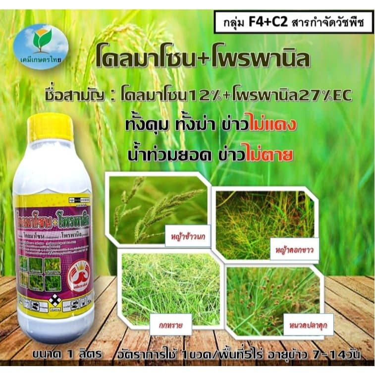 โคลมาโซน + โพรพานิล 1ลิตร ข้าวไม่แดง ยาคุม-ฆ่า ในนาข้าว กำจัดหญ้าวข้าวนก หญ้าดอกขาว หญ้ากระดูกไก่#ยาคุม-ฆ่า#ข้าวไม่แดง รูปที่ 1