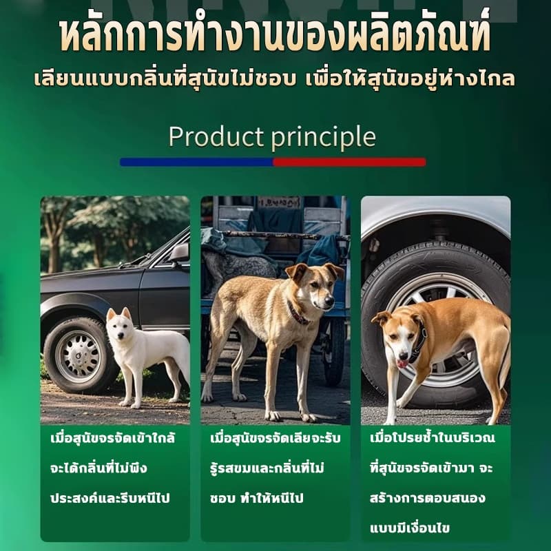 พอได้กลิ่นก็รีบหนีผงไล่หมา ไล่หมา ผงโรยไล่หมาแมว 500กรัม ป้องกันไล่ได้ยาวนาน แบบไม่ทำร้ายสัตว์ ป้องกันการถ่าย รูปที่ 6