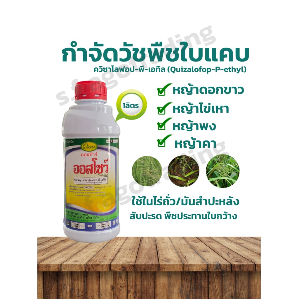 ออสโชว์ ควิซาโลฟอป-พี-เอทิล ยี่ห้อ ออสก้าร์ ขนาด 1ลิตร เป็นสารกำจัดวัชพืชใบแคบ ในพืชประทานใบกว้าง รูปที่ 1