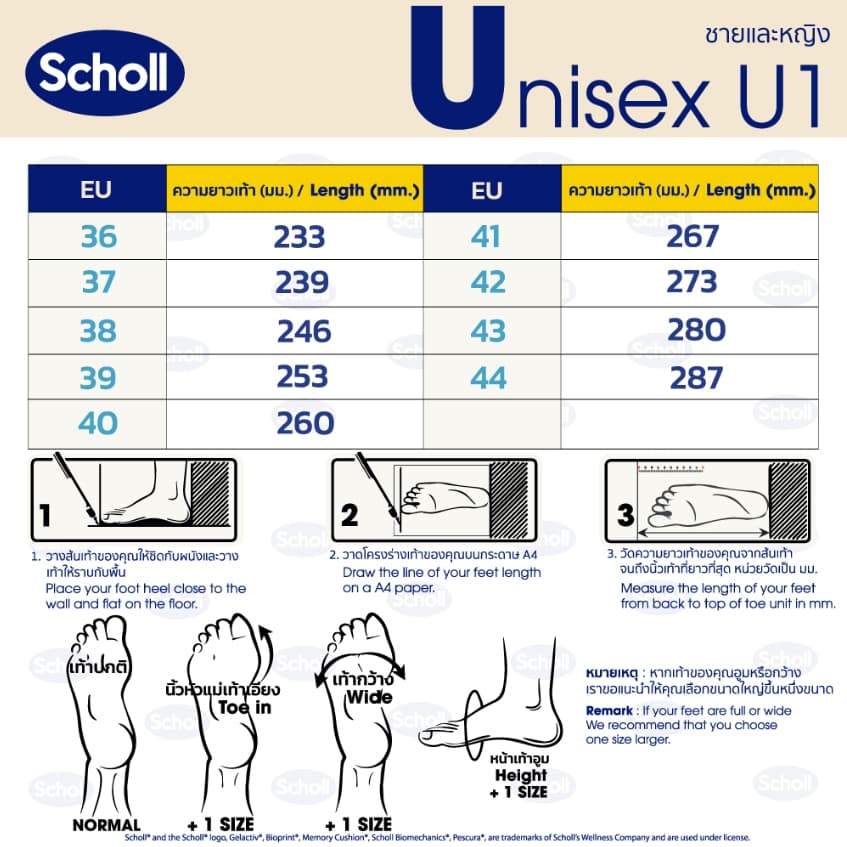 Scholl รองเท้าสกอลล์-โอลิเวอร์ Oliver แตะสวมสำหรับผู้ชาย และผู้หญิง รองเท้าสุขภาพ General Comfort เบา ทนทาน รูปที่ 7
