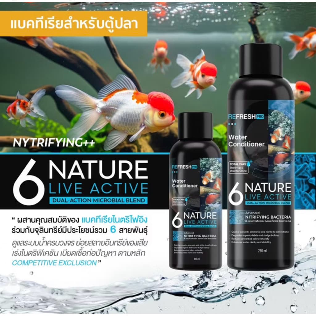 จุลินทรีย์น้ำใส บ่อปลา ตู้ปลา แบบน้ำและผง รูปที่ 6