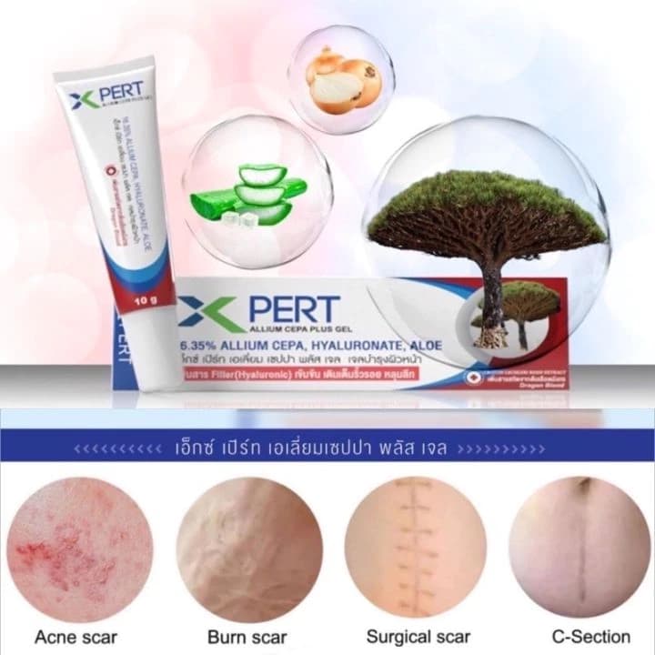 XPERT Scar Gel 10g ลดรอยแผลเป็น สารสกัดจาก ต้นเลือดมังกร และ Allium Cepa เข้มข้น รูปที่ 3