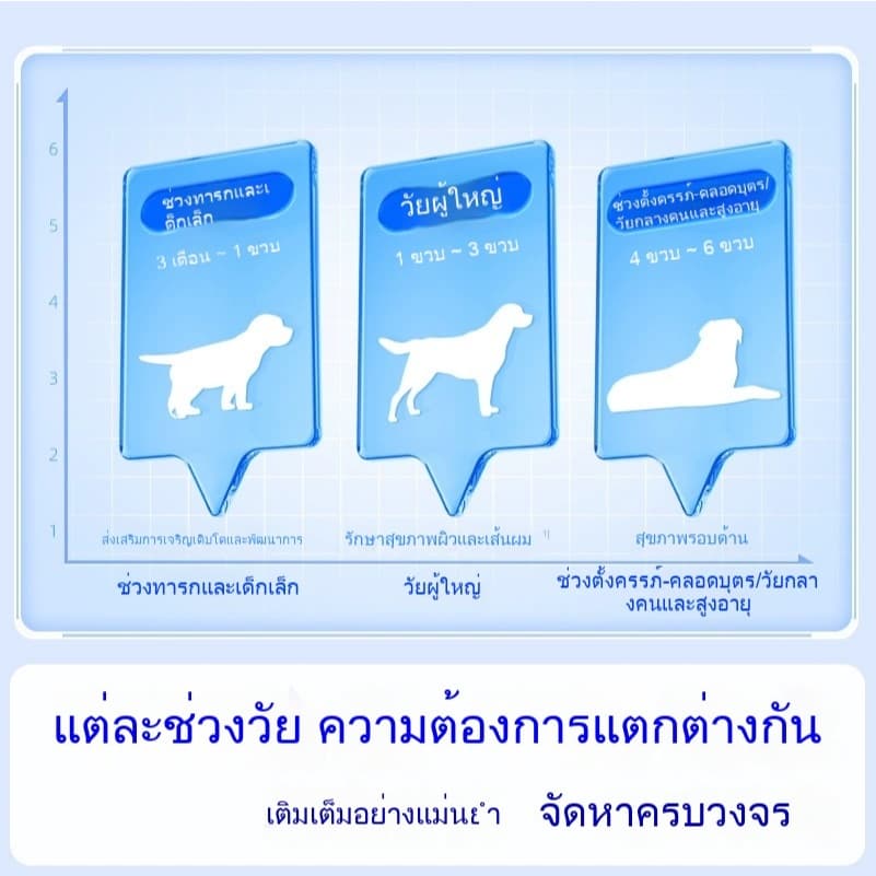 KetzuzuPet อาหารเสริมสำ วิตามิน 14g รูปที่ 2