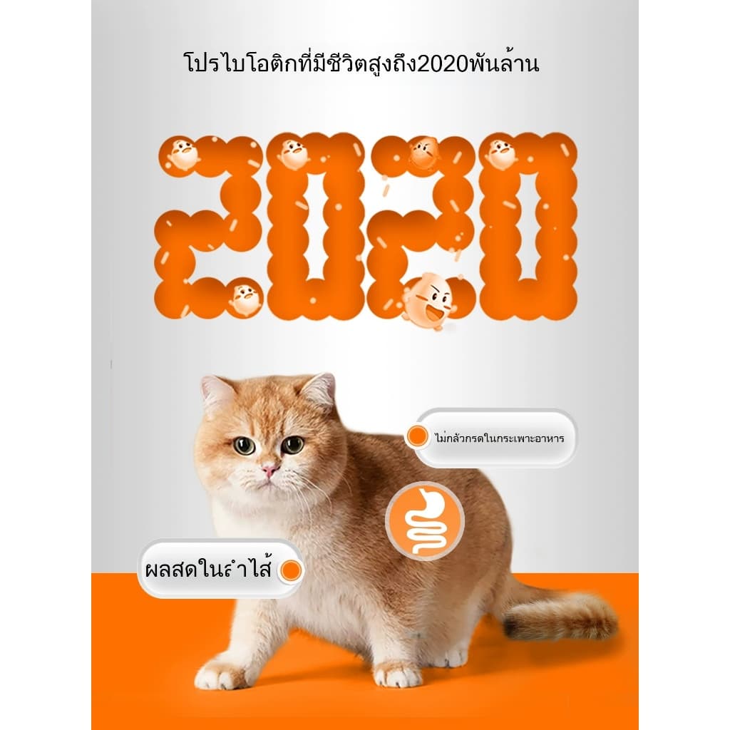 KetzuzuPet อาหารเสริมสำ วิตามิน 14g รูปที่ 3