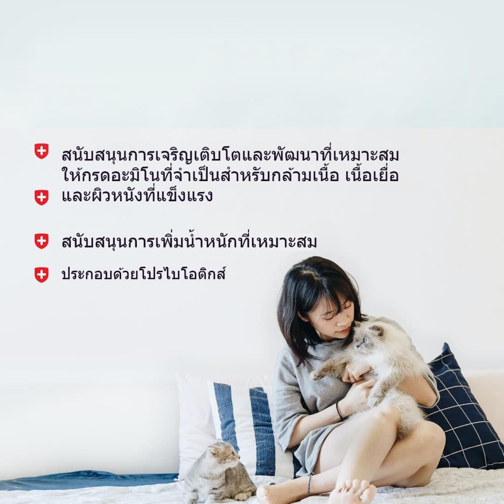 KetzuzuPet อาหารเสริมสำ วิตามิน 14g รูปที่ 9