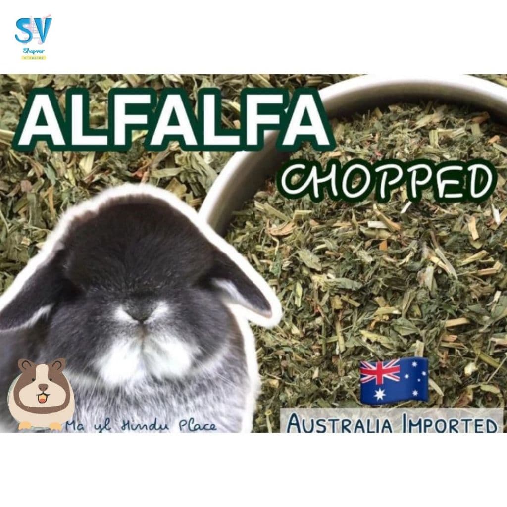 หญ้าอัลฟาฟ่าก้าน และ alfalfa chopped หญ้าอัลฟาฟ่าสับ 1 กก.เขียวหอมมาก มายล รูปที่ 6