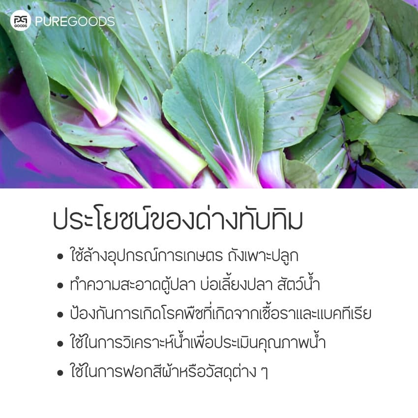ด่างทับทิม POTASSIUM PERMANGANATE Net weight 100G | 500G รูปที่ 3