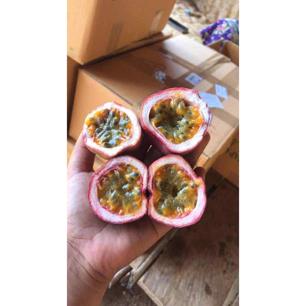 เสาวรสไทนุง รสชาติเปรี้ยวอมหวาน หอมชื่นใจ รูปที่ 7