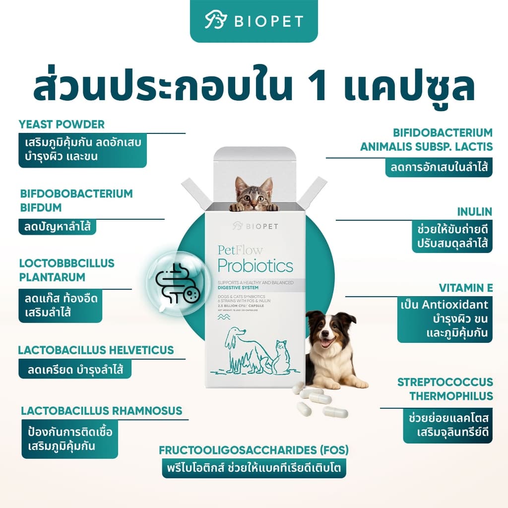 PetFlow โพรไบโอติกของสัตว์เลี้ยง สูตรดูแลระบบขับถ่าย Medical Grade Probiotic รูปที่ 2