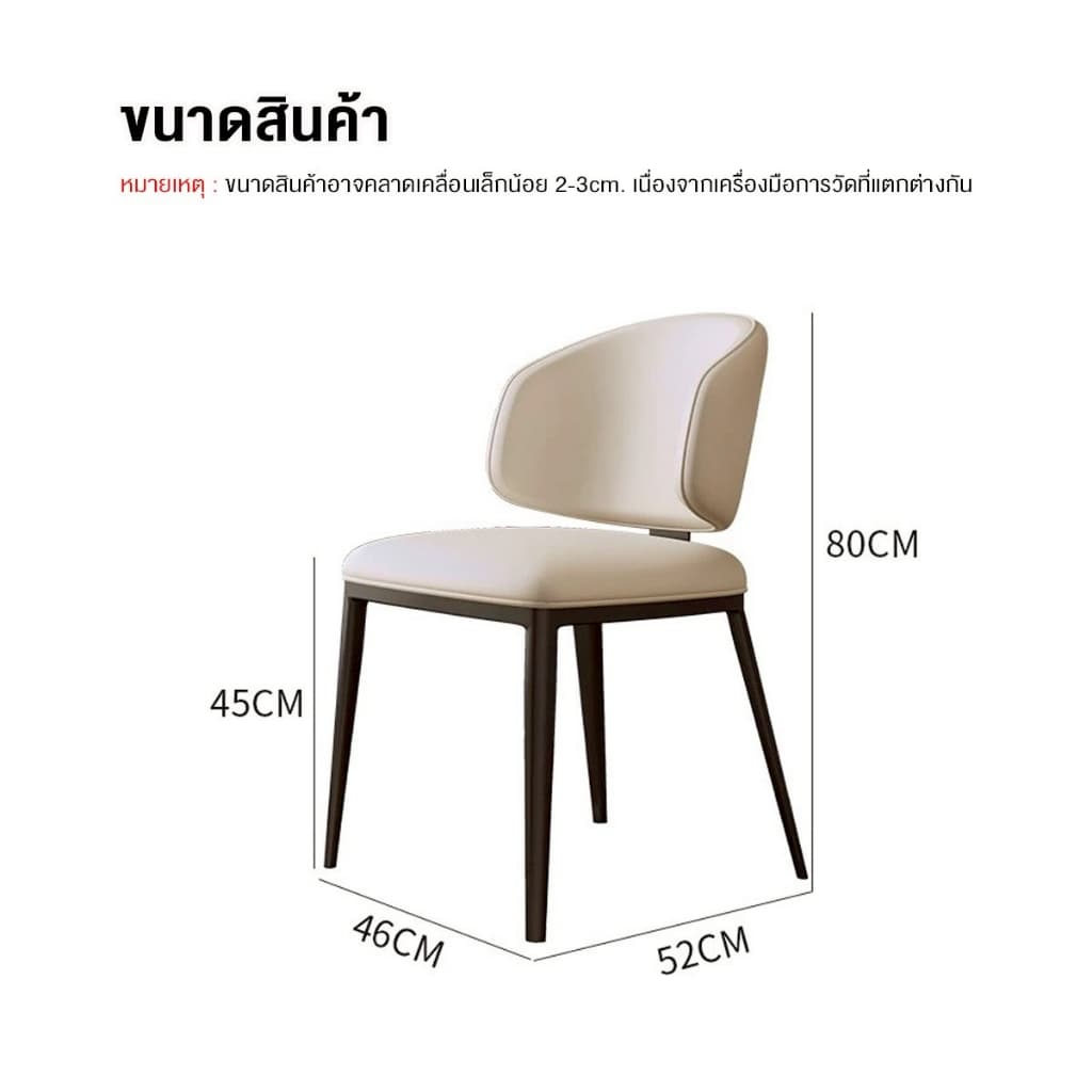 DUDEE เก้าอี้ รุ่น DD-244 เก้าอี้ขาเหล็ก แข็งแรง ทนทาน รูปที่ 9