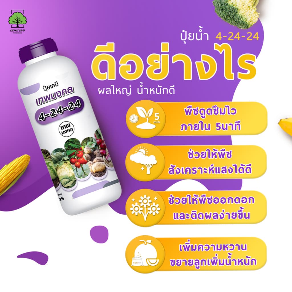ปุ๋ยน้ำตราเทพมงคล สูตร 4-24-24 แพ็ค 2 ขวด เปิดตาดอกขยายผล เพิ่มผลผลิต เพิ่มเนื้อ เพิ่มน้ำหนัก 1 ลิตร รูปที่ 5