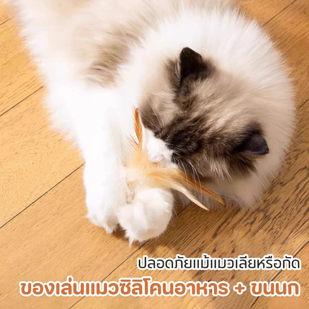 TUBI "เบื่อของเล่นธรรมดาๆ ไหม?"เปิดประสบการณ์ใหม่กับของเล่นแมวขนนก ที่มาพร้อมกับการกระตุ้นสัญชาตญาณแมวแบบสุด ๆ รูปที่ 6