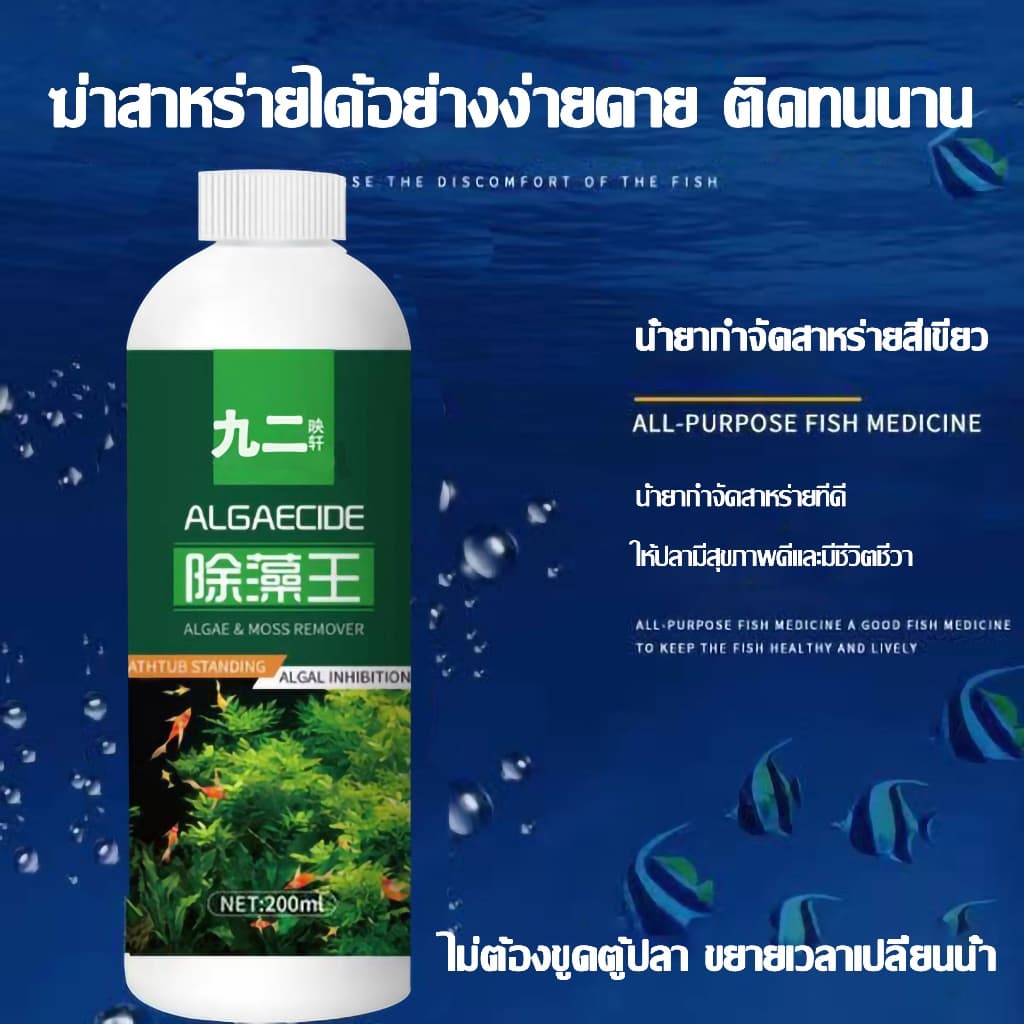 กำจัดสาหร่ายในตู้ปลา กำจัดตะไคร่น้ำในตู้ปลา กำจัดสาหร่าย กำจัดน้ำสีเขียว ทำความสะอาดบ่อปลา รูปที่ 9