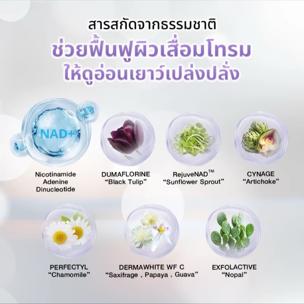 PP Nat Nad ชุดบำรุงผิวให้แลดูอ่อนกว่าวัยอย่างเป็นธรรมชาติ รูปที่ 5