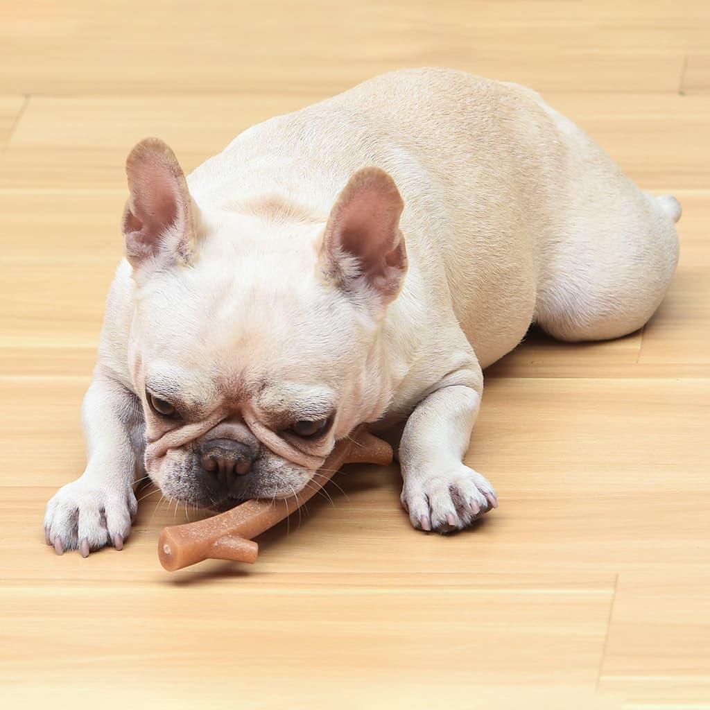 Arm and Hammer Barkies ของเล่นขัดฟันสุนัข กลิ่นเบคอน แทะเพลิน ขนาด20ซม. รูปที่ 4