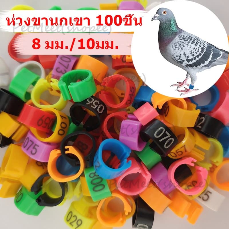 ถูก100 ชิ้น แหวนขาขนาดเส้นผ่าศูนย์กลาง 8 มม./10 มม. ห่วงขานกเขา ห่วงขานก ห่วงขานกพิราบ คละสี รูปที่ 1