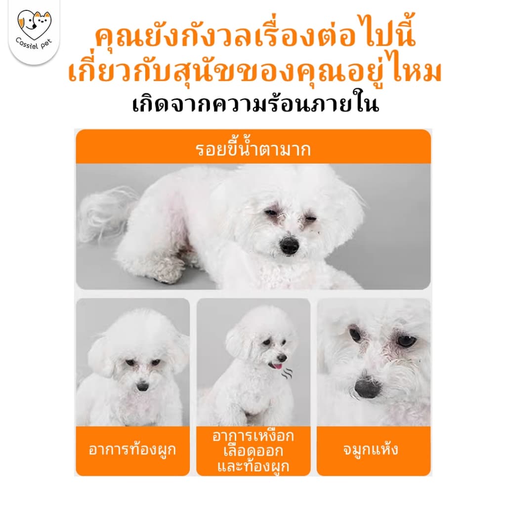 Cassiel pet อาหารแห้งเพิ่มปริมาณสำหรับสุนัข กำจัดคราบน้ำตา และส่งเสริมการย่อยอาหาร แนะนำสำหรับลูกสุนัข รูปที่ 2