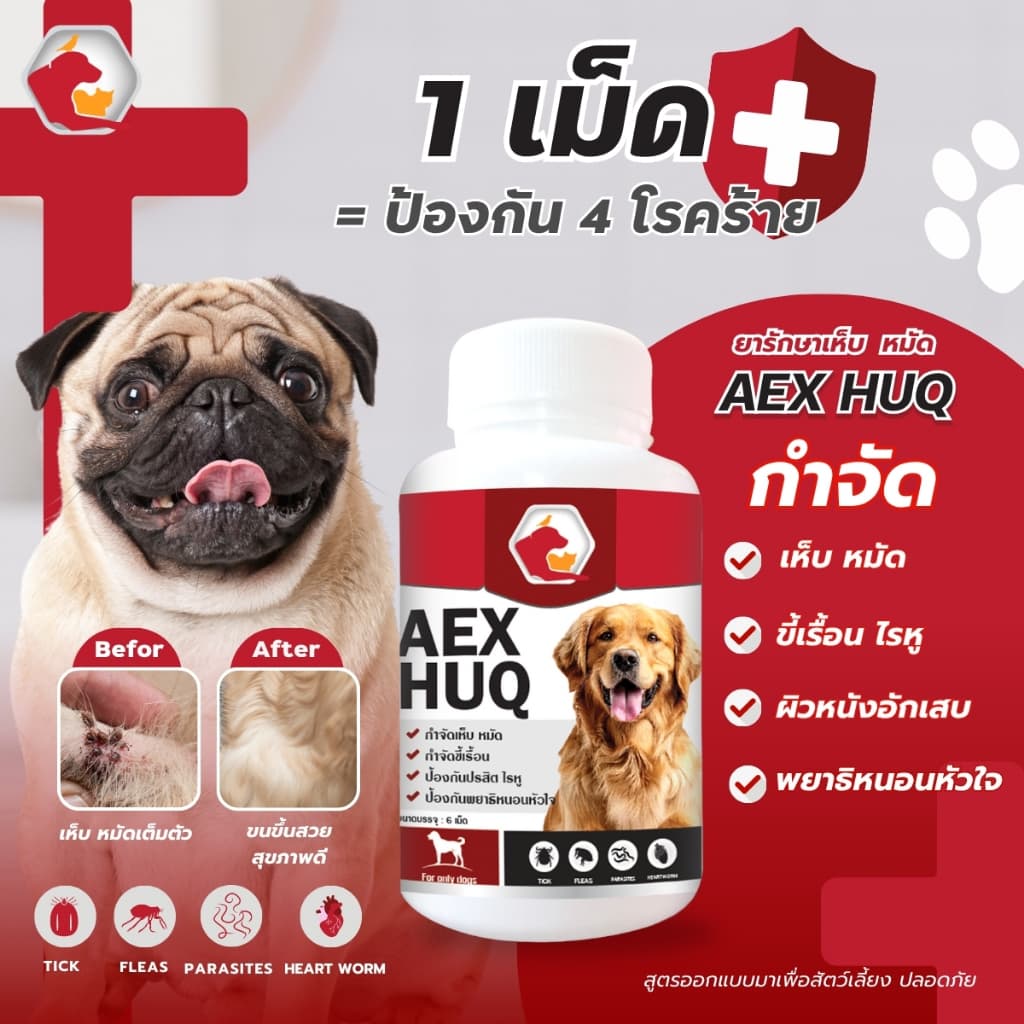 Aexhuq เสริมอาหาร ป้องกันเห็บ หมัด ไร ลดคัน ขนร่วง สูตรสำหรับสุนัข รูปที่ 2