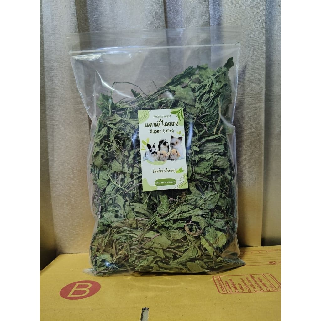 ต้นแดนดิไลออน Dandelion สำหรับสัตว์เลี้ยง รูปที่ 5