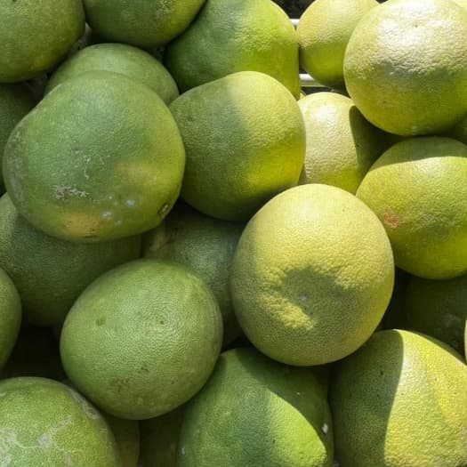 ส้มโอขาวใหญ่อัมพวาแท้ ส่งตรงจากสวน ขายเอง - คละไซส์ รูปที่ 3