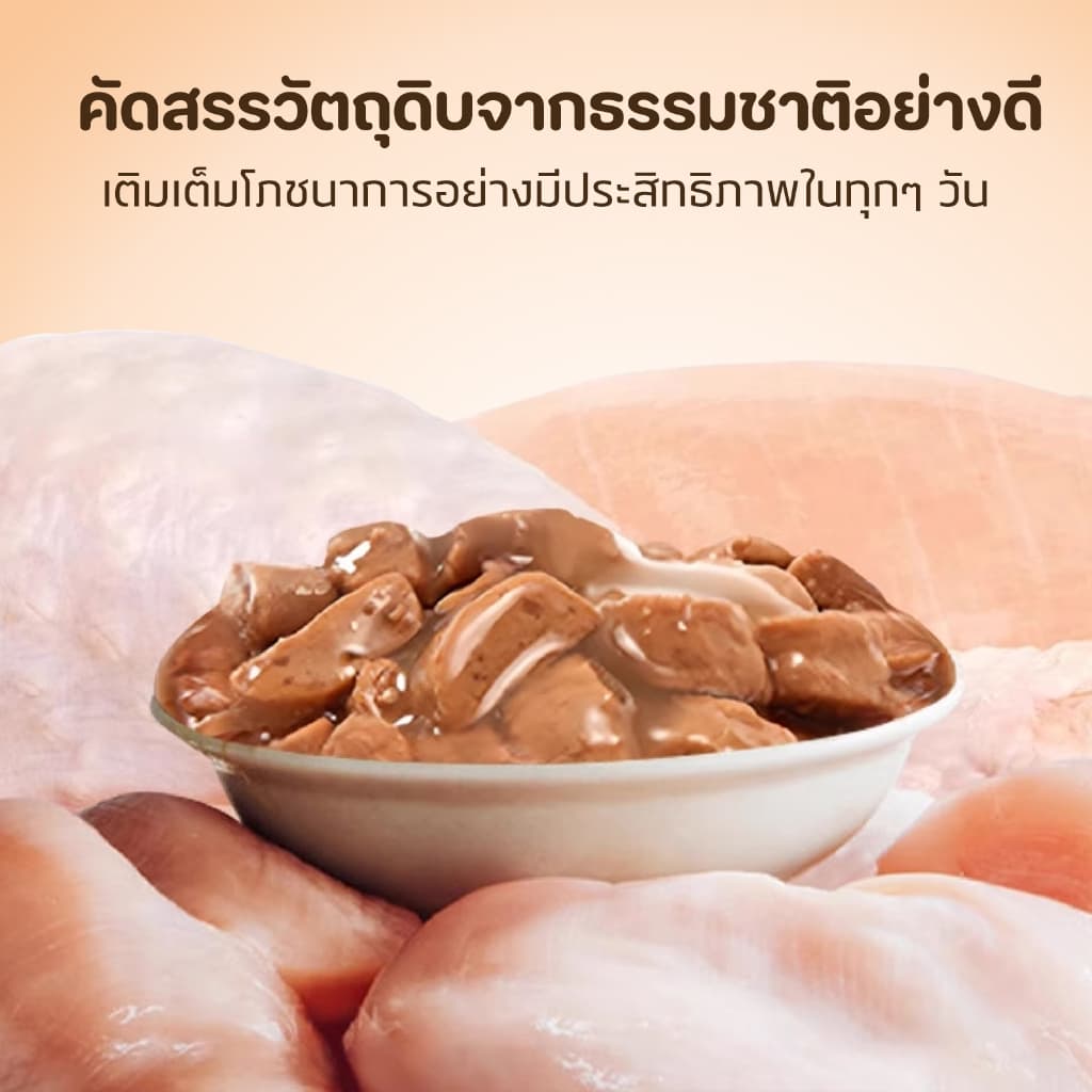 อาหารเปียกสุนัข 130g เนื้อชิ้นใหญ่ 100% โปรตีนสูง+คอลลาเจน เก็บได้ 24 ด รูปที่ 3