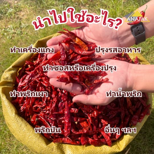 พริกแห้ง จินดา 5 กก. เม็ดอวบ ทำน้ำพริก ทำพริกแกง ทำพริกป่น และ อาหารอื่นๆ รูปที่ 3