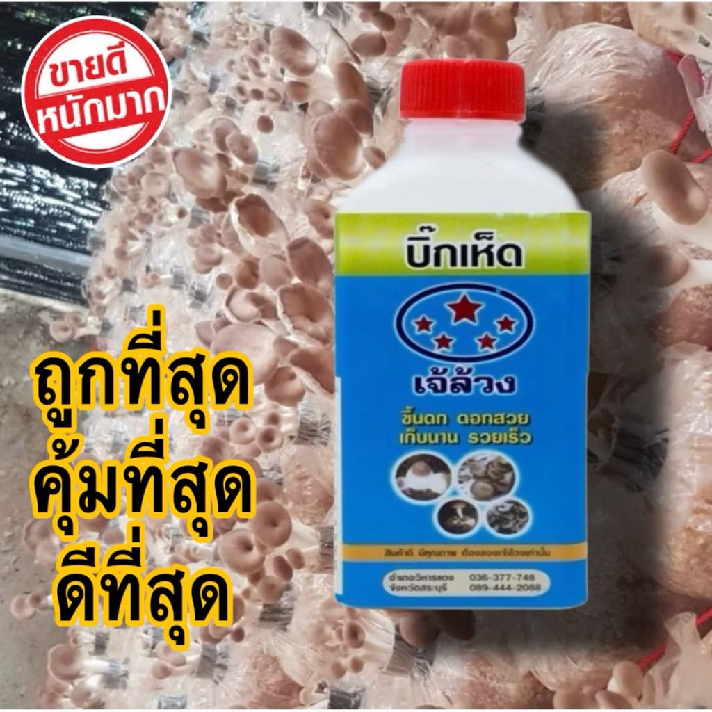 บิ๊กเห็ด เจ้ล้วง สูตรเร่งใย เร่งดอก ขึ้นดก ดอกสวย เก็บนาน รวยเร็ว ใช้ได้กับเห็ดทุกชนิด รูปที่ 1