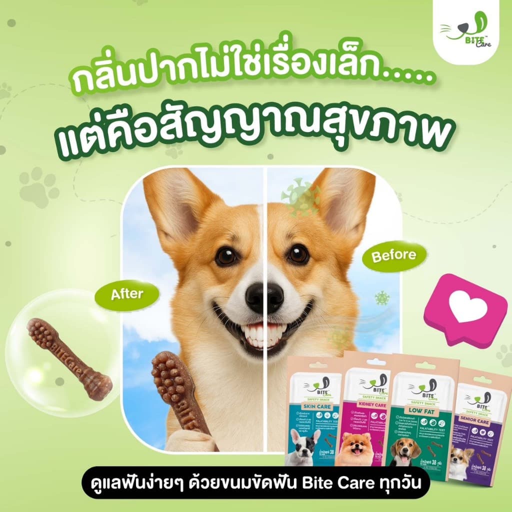 Bite Care ขนมขัดฟันสุนัขเพื่อสุขภาพ 38g เสริมกระดูกข้อ ภูมิคุ้มกัน ขนเงา Bite Care รูปที่ 2