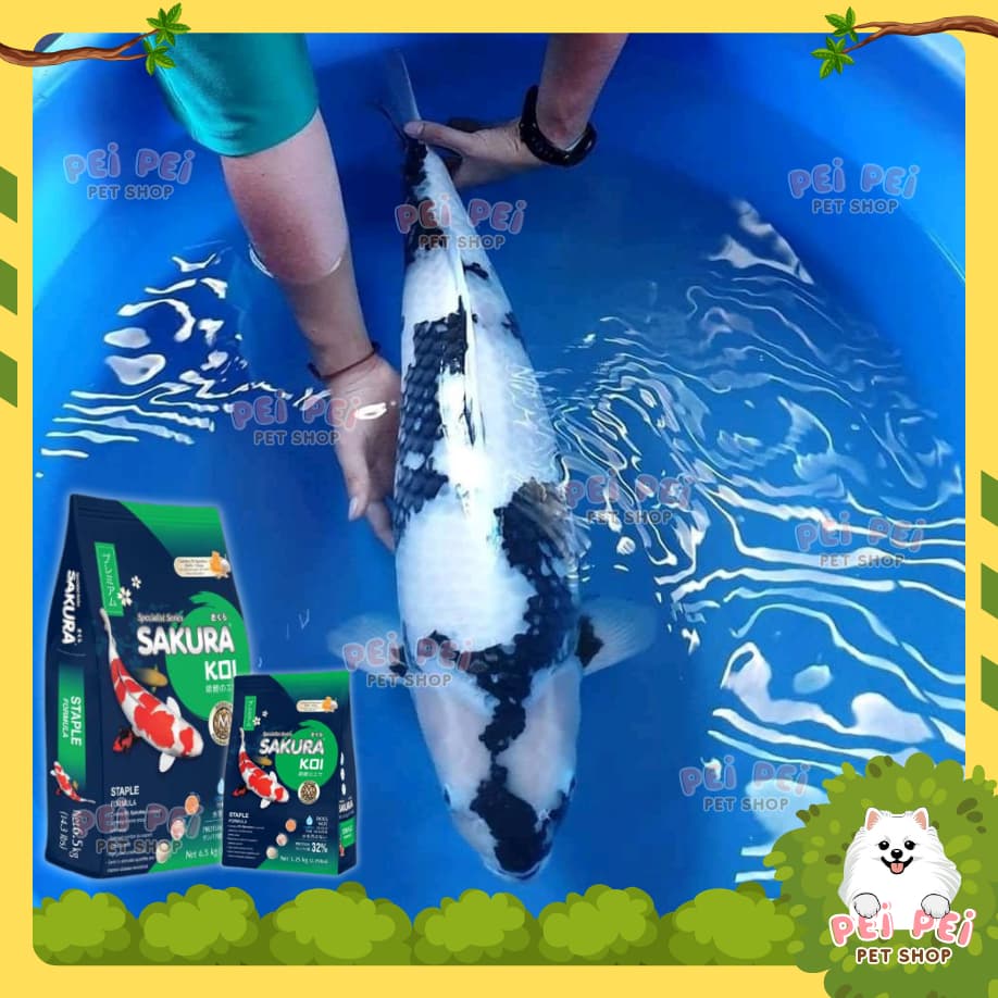 Flash Saleอาหารปลาคาร์ฟ Sakura Koi สูตรสมดุล Staple Formular ขนาด 1.25 กก และ 6.5 กก รูปที่ 2