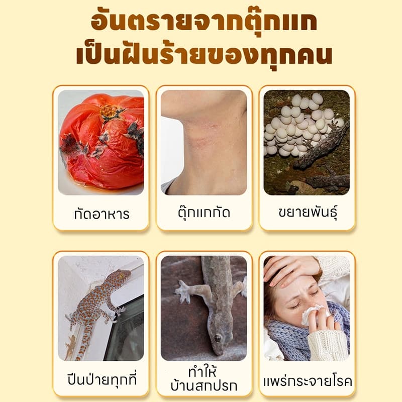 ซื้อ 2 แถม 1ยาไล่ตุ๊กแก ไล่ตุ๊กแก ปลอดสารพิษและมีประสิทธิภาพสูง สกัดจากพืช ยาไล่จิ้งจก ไล่จิ้งจก ต้องมีติดบ้าน รูปที่ 2
