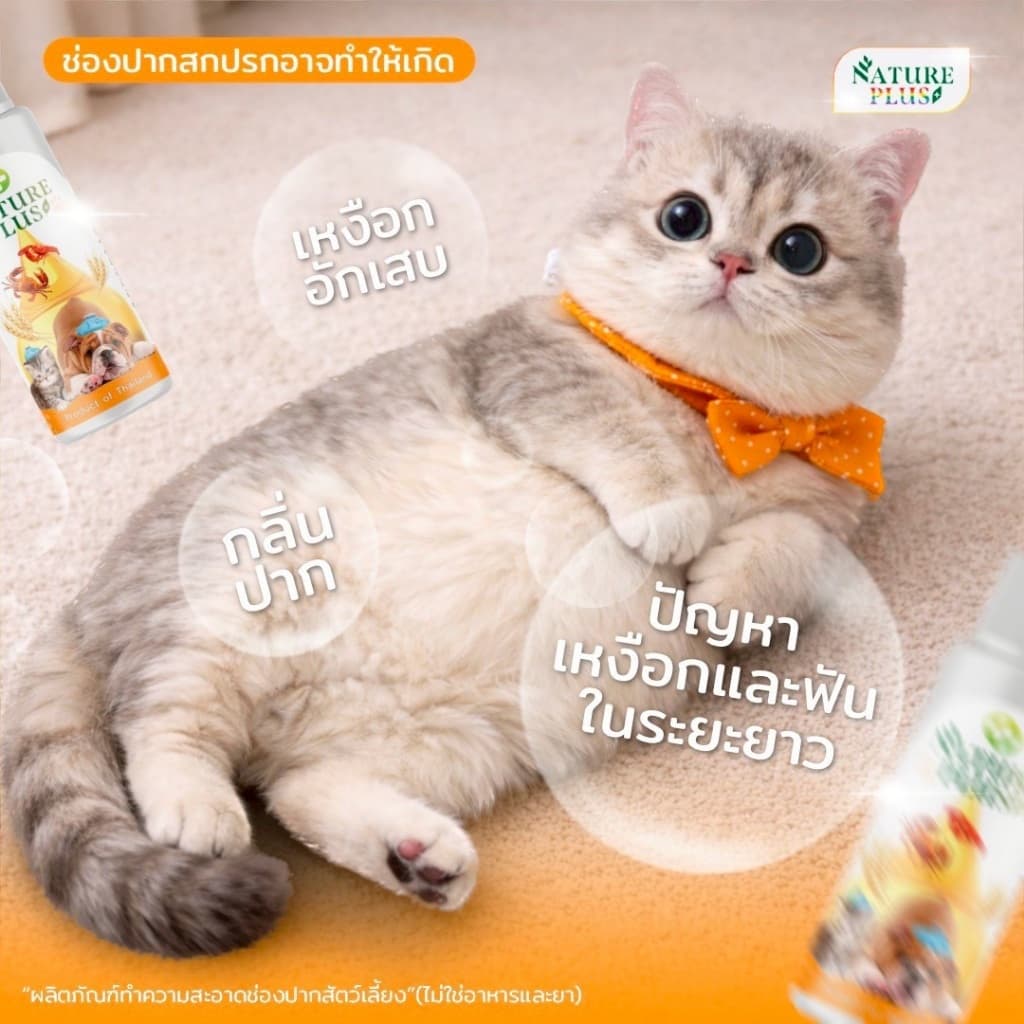 ผลิตภัณฑ์ทำความสะอาดช่องปาก เหงือก และลิ้น สุนัข แมว ขวดสีส้ม - Nature Plus รูปที่ 4