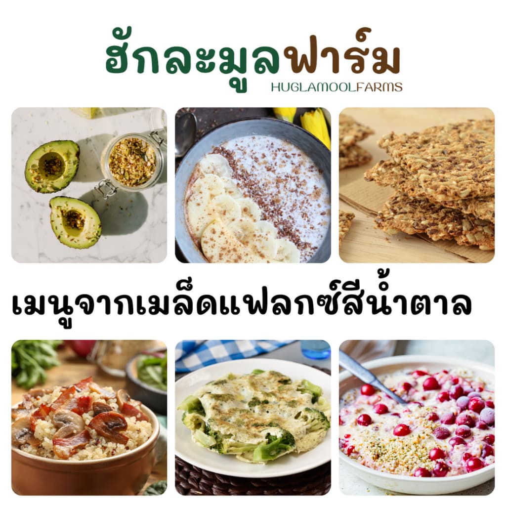 แฟลกซ์สีน้ำตาล ออร์แกนิค คั่วสุกพร้อมทาน กระปุก200กรัม ตราฮักละมูลฟาร์ม คั่ว สุก Flaxseed เมล็ดแฟลกซ์ ลินิน รูปที่ 7