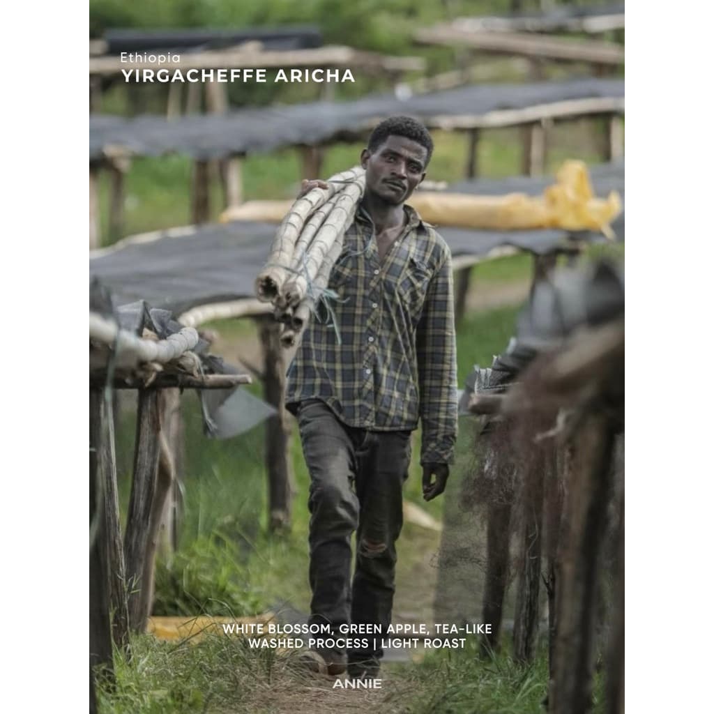 ANNIE - Ethiopia Yirgacheffe Aricha Adorsi Washed คั่วอ่อน รูปที่ 3