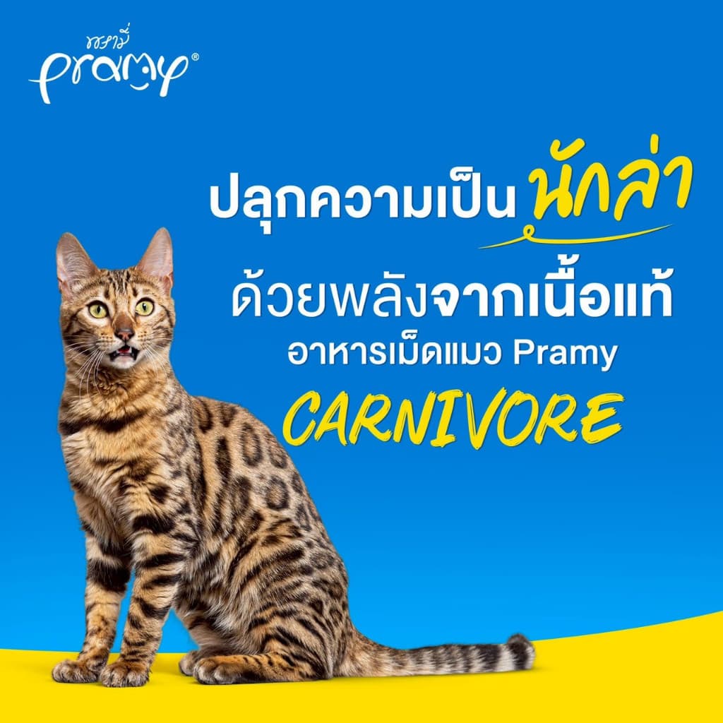 Pramy Carnivore พรามี่ อาหารเม็ดแมว 0.8-1kg รูปที่ 6