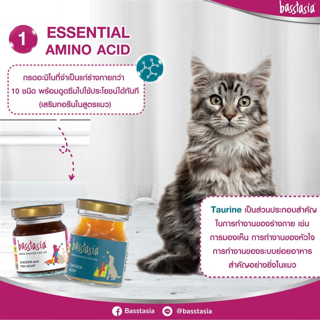 Basstasia อะมิโน บูสเตอร์ ซุปไก่และปลาสกัดเข้มข้นสำหรับสุนัขและแมว หอมอร่อย บำรุงทันที รูปที่ 7