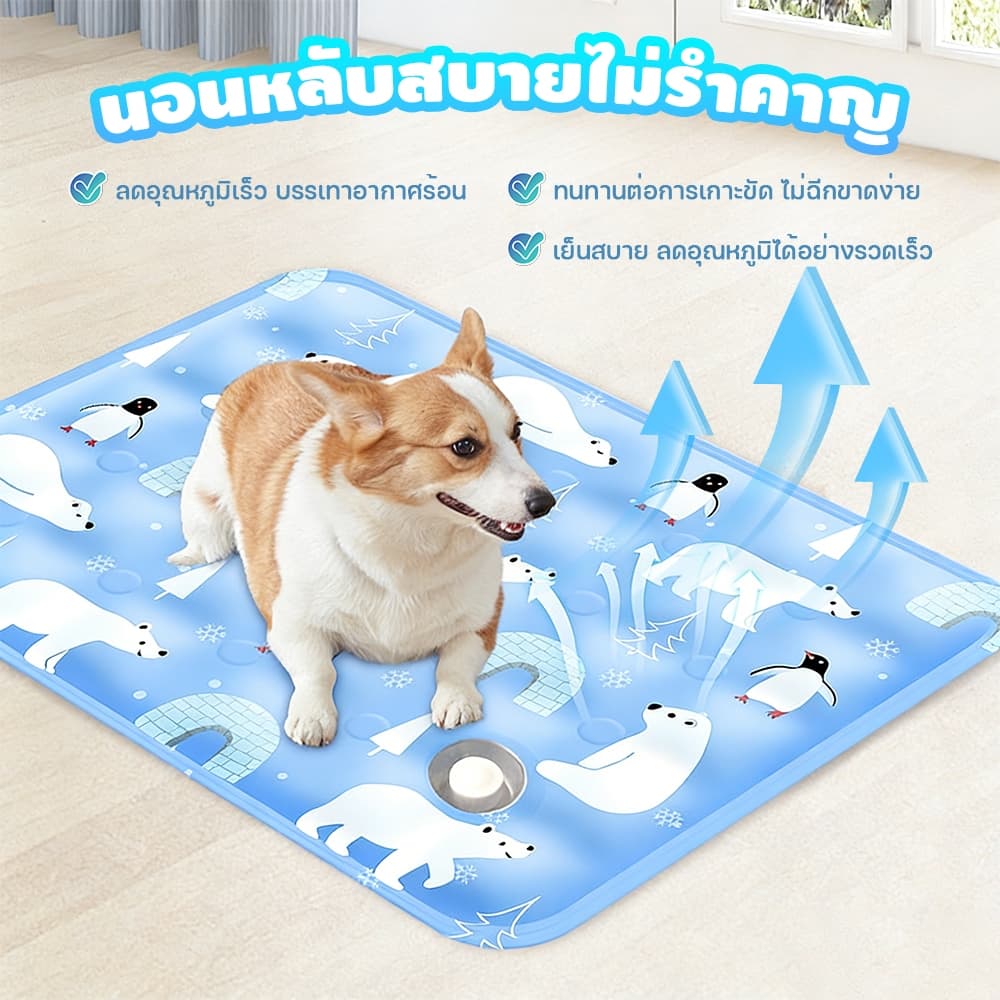 ที่นอนเย็น แผ่นเจลเย็น แผ่นเย็นแมว เบาะเย็นแมว เจลเย็นหมา แผ่นเย็นหมา ที่นอนแมว ที่นอนหมา รูปที่ 6