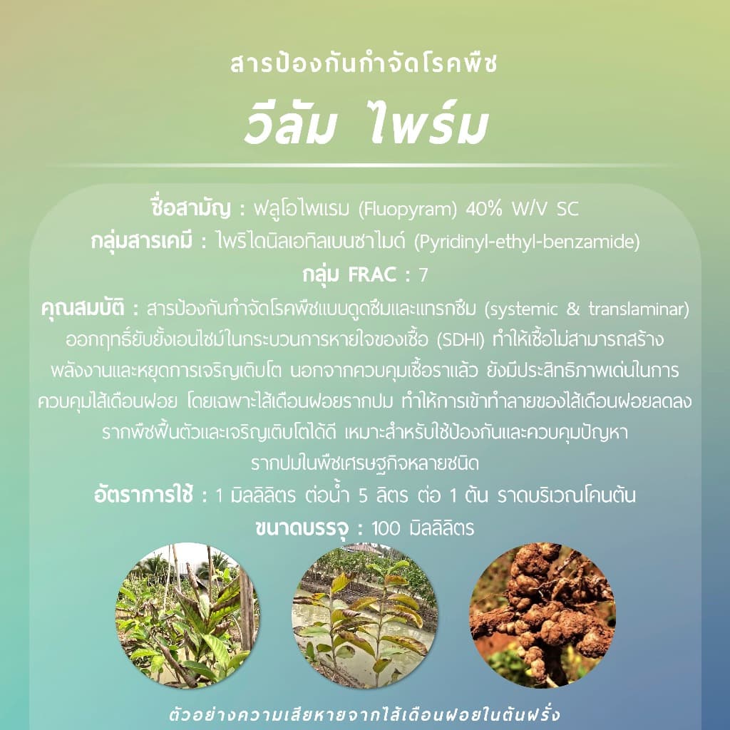 วีลัม ไพร์ม 100 มิลลิลิตร รูปที่ 2