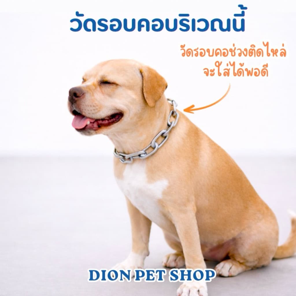 ปลอกคอโซ่ สุนัข สแตนเลส 304 โดนน้ำได้ไม่ขึ้นสนิม ไม่มีขาด‼ขนาด 5-10 มิล สำหรับสุนัขขนาดกลาง-สุนัขโต ปลอกคอโซ่ โซ่คอ รูปที่ 2