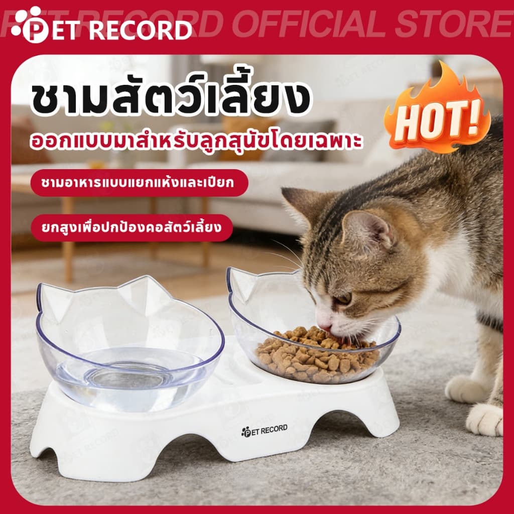 ชามอาหารแมวเอียง 15° ชามแมวพร้อมฐาน ชามใสอาหารสุนัข ถอดล้างง่าย สำหรับแมวหน้าสั้น รูปที่ 1