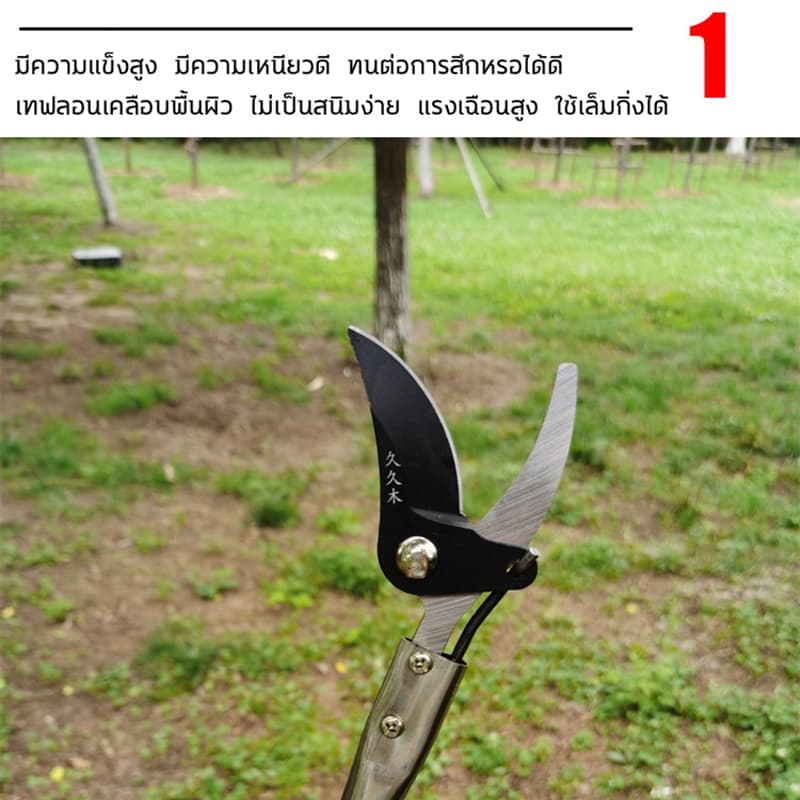 กรรไกรตัดกิ่งไม้สูง กรรไกรตัดกิ่ง ตัดกิ่งไม้เร็ว ด้ามจับยาว กรรไกรเก็บผลไม้ กรรไกรเก็บผลไม้ ตัดกิ่งไม้หนา 3 ซม รูปที่ 7