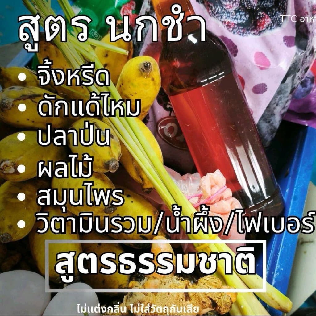 อาหาร นกกรงหัวจุก สูตรนกชำชายคา รูปที่ 2