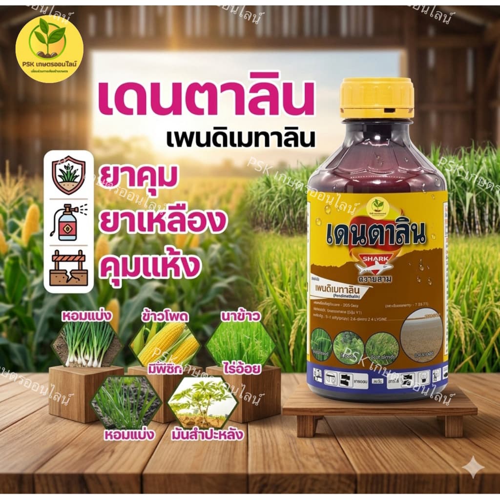 เดนตาลิน คุมแห้งนาข้าว สูตรเข้มข้นพิเศษ เพนดิเมทาลิน ฉีดสบาย ไม่เหม็น ไม่ติดถังฉีด 1 ลิตร รูปที่ 1