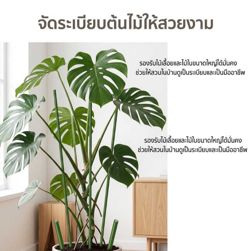 ส่งจากกรุงเทพ 24ชม ลวดพันก้านไม้ค้ำต้นไม้ ยาว30/50ซม ยึดพืชเลื้อย อุปกรณ์สวน Plant Support Wire รูปที่ 4