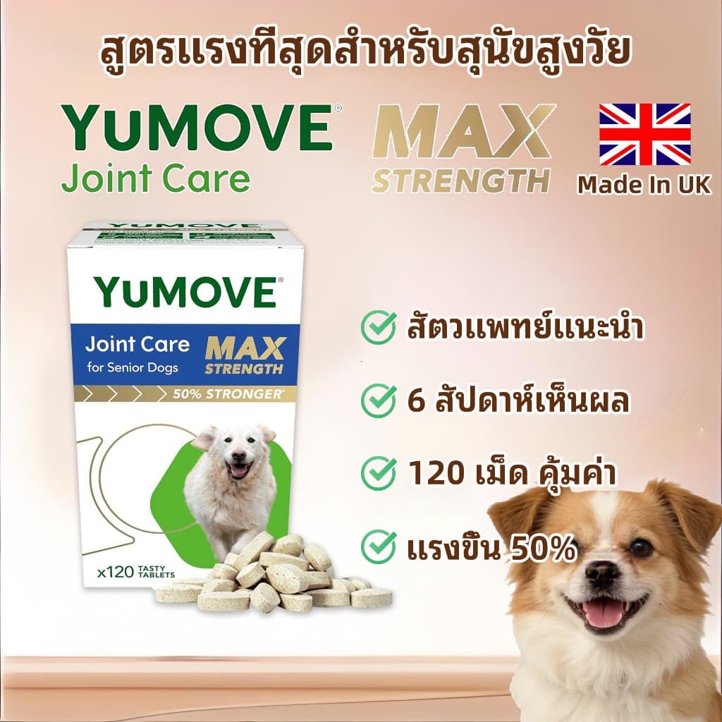 YuMOVE Senior Max Strength สูตรแรงที่สุดสำหรับสุนัขสูงวัย 120 เม็ด จุใจ ประหยัดค่ารักษาระยะยาว รูปที่ 1