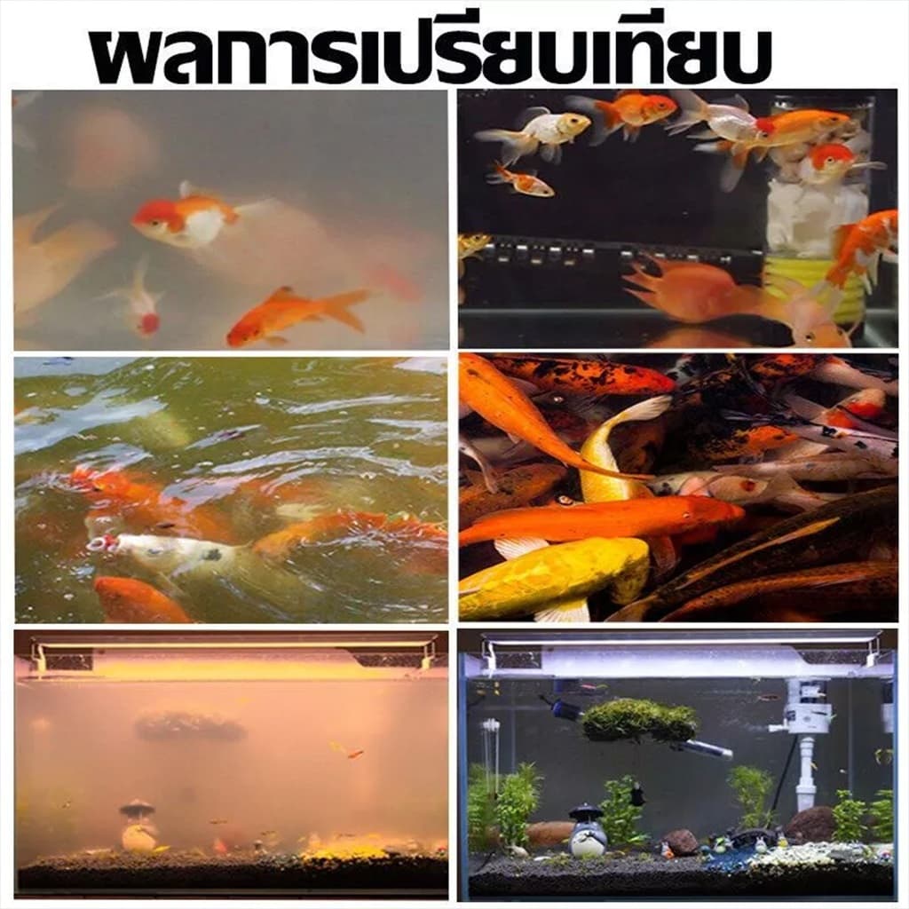 จุลินทรีย์ปรับสภาพน้ำใส ละลายอุจจาระ ดับกลิ่นเหม็น น้ำยาปรับสภาพน้ำบ่อปลา ปรับปรุงคุณภาพน้ำ ปลอดภัย รูปที่ 4
