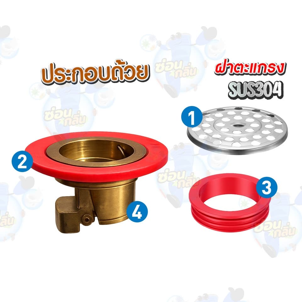 SaunGlin ทองเหลือง ดับกลิ่น ในท่อ ระบายน้ำ ไม่ต้องรื้อถอน กันแมลง ตะขาบ แมงสาบ แมลงหวี่ขนในท่อน้ำทิ้ง รูปที่ 2