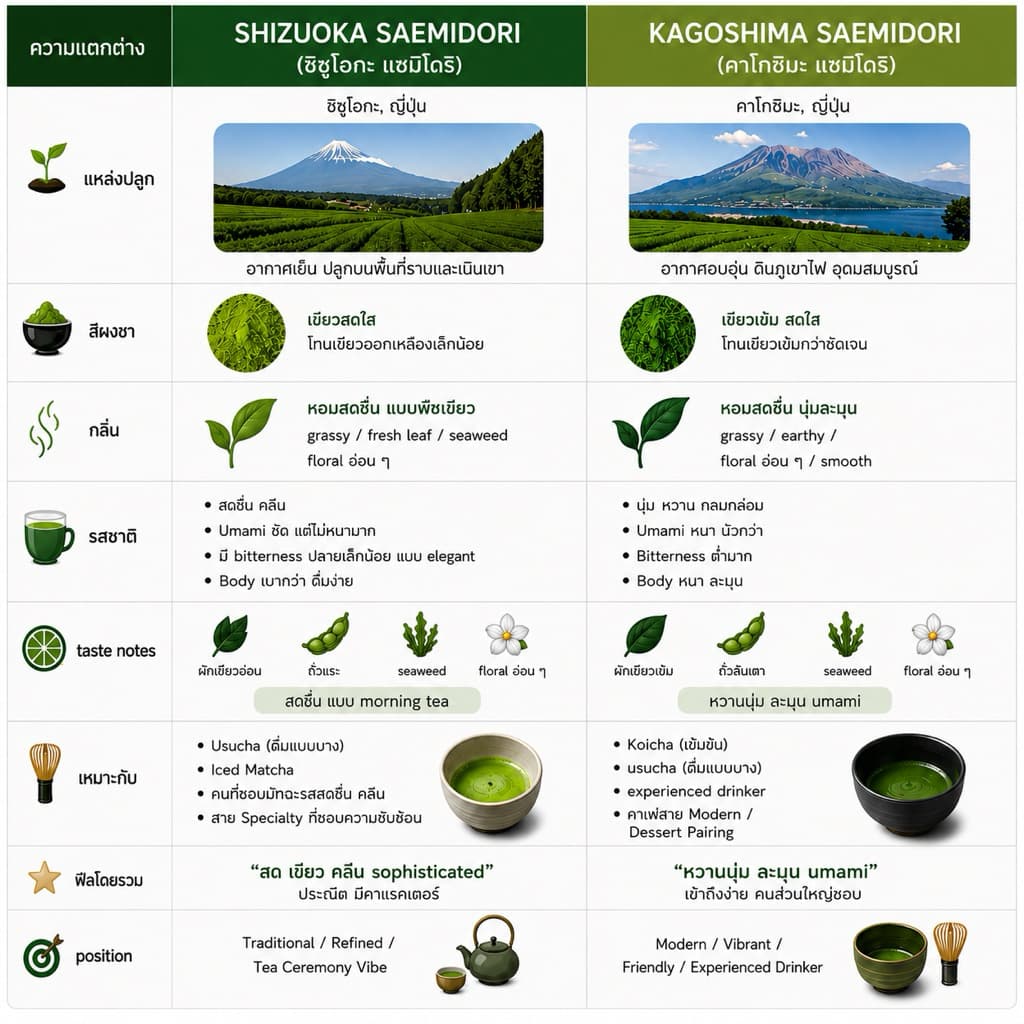 SAEMIDORI | Rincha tea มัทฉะ ชาเขียว สายพันธุ์เดี่ยว เกรดพิธีการ จาก Shizuoka Japan รูปที่ 3