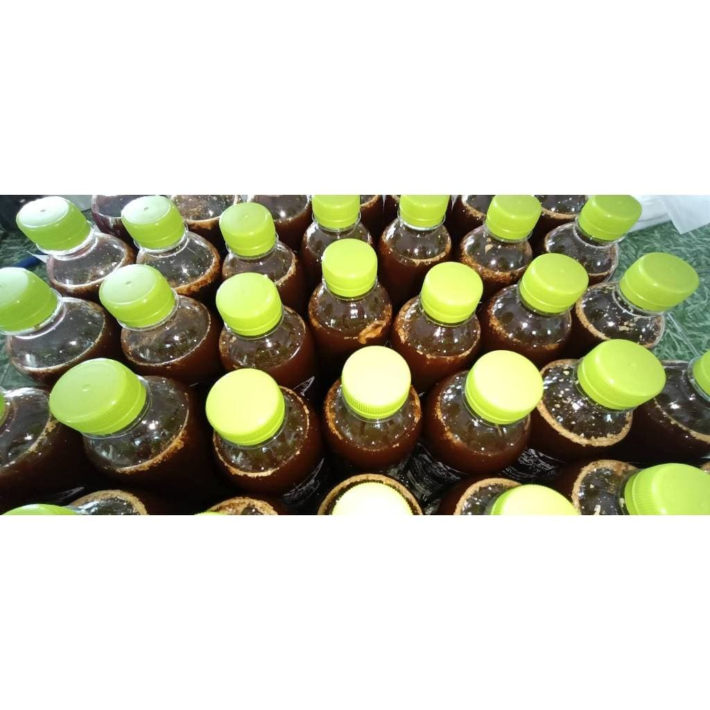 เชื้อเห็ดระโงกเหลือง ขนาด 500 ML. รูปที่ 6