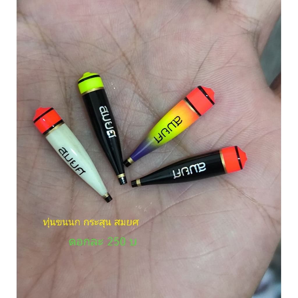 ทุ่นขนนกยูง ทุ่นเปล่า และชุดตก ทุ่นขนนก อาการนุ่มนวล รูปที่ 2