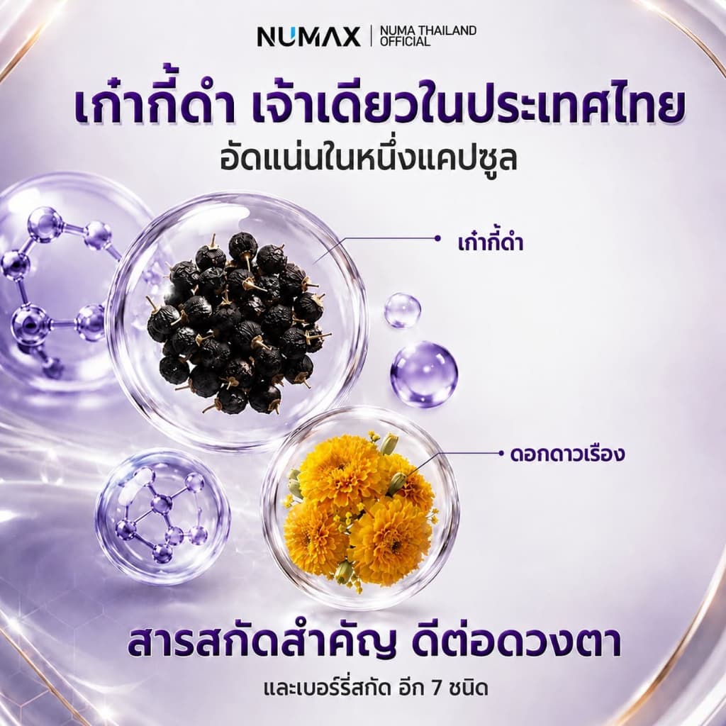 NUMAX แบล็คลูทีน บำรุงสายตา จากเก๋ากี้ดำและดอกดาวเรือง รูปที่ 3